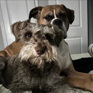 Meet your Posher, Amber